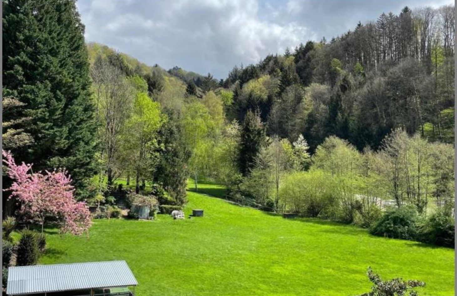 Aussicht von Gemütliche 1-Zimmer-(Ferien-)-Wohnung mit Balkon in Sasbachwalden bei Dhonau Immobilien-Makler Ortenau