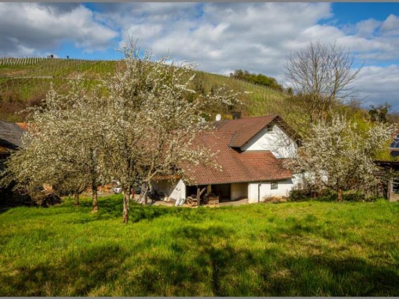 Anwesen in Waldulm von Ein- bis Zweifamilienhaus mit massivem Öko-Anbau - Ausbauoption plus extra Grundstück! in Kappelrodeck bei Dhonau Immobilien-Makler Ortenau