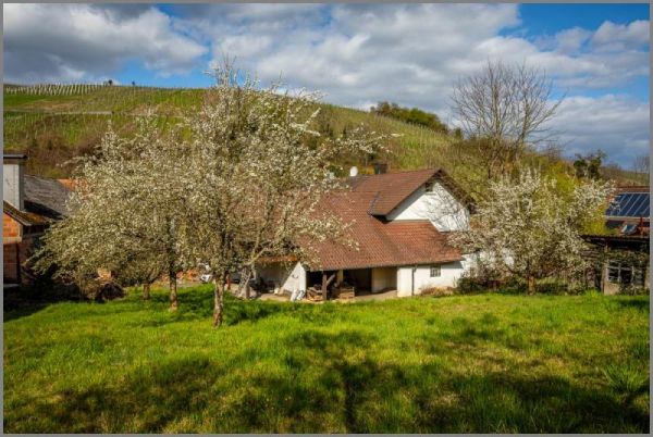 Anwesen in Waldulm von Ein- bis Zweifamilienhaus mit massivem Öko-Anbau - Ausbauoption plus extra Grundstück! in Kappelrodeck bei Dhonau Immobilien-Makler Ortenau