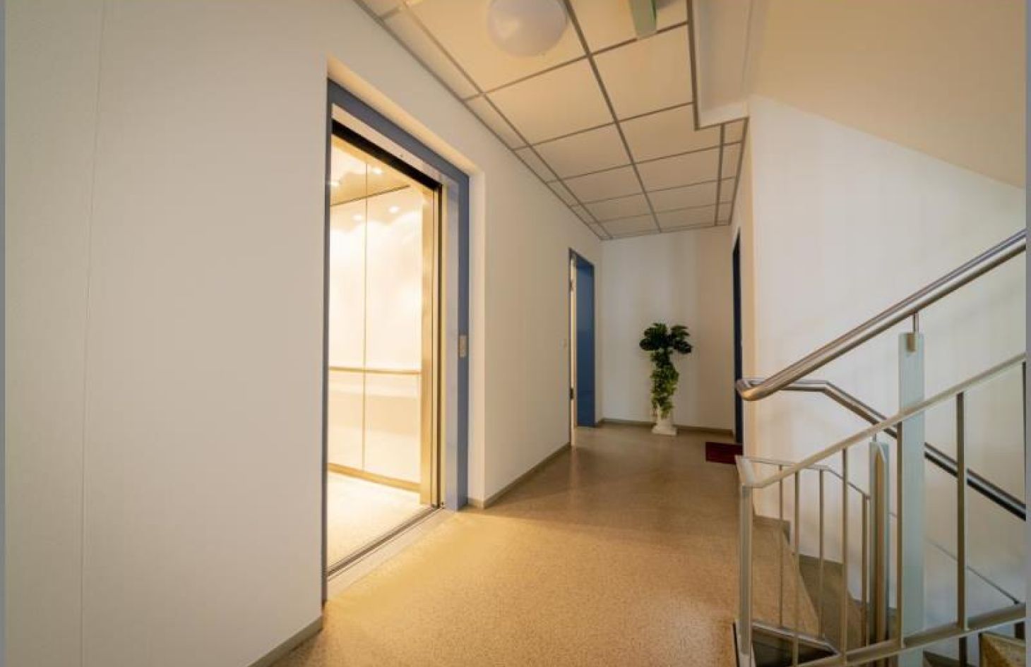 Aufzug und Wohnungseingang im EG von Genial! Schicke 3-Zimmer-Stadtwohnung im EG mit großem Garten, Tiefgarage, Aufzug in Achern Stadt bei Dhonau Immobilien-Makler Ortenau