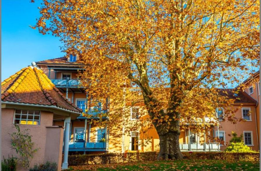 Wohnung im 2. OG von Altbauflair und Lebensqualität! Schicke 4-Zimmer-ETW mit Balkon, Garage und Stellplatz in Achern bei Dhonau Immobilien-Makler Ortenau