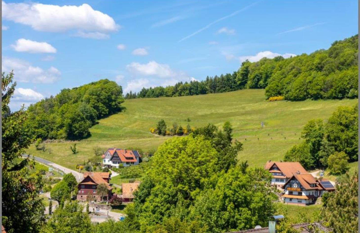 Aussicht Bischenberg von 2-in-1-Ferien-/Eigentumswohnung mit Wintergarten, Garage und herrlicher Aussicht! in Sasbachwalden bei Dhonau Immobilien-Makler Ortenau
