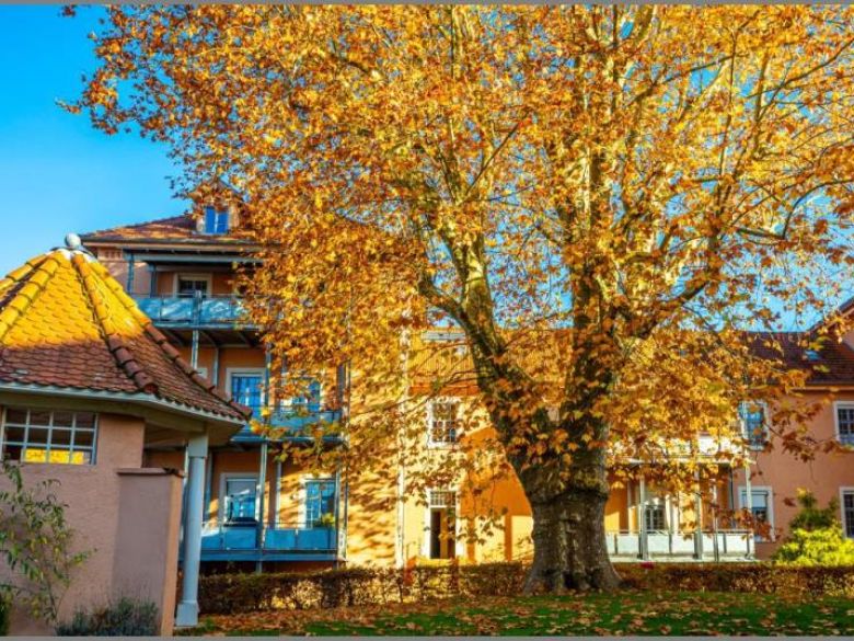 Wohnung im 2. OG von Altbauflair und Lebensqualität! Schicke 4-Zimmer-ETW mit Balkon, Garage und Stellplatz in Achern bei Dhonau Immobilien-Makler Ortenau