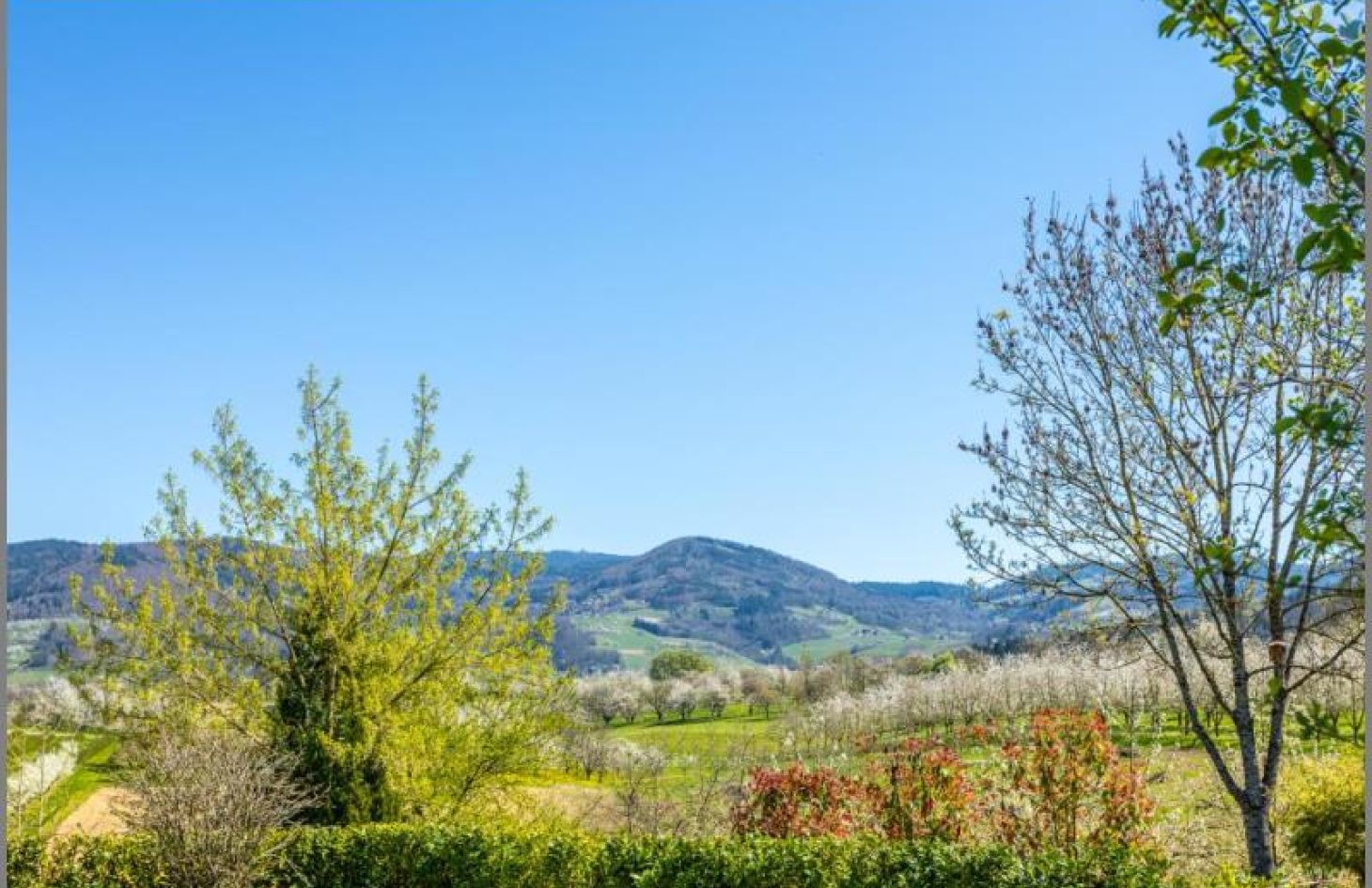 Ausblick oberer Garten von Exklusives EFH! Ein Raumwunder als doppelter Bungalow plus TG! in Achern bei Dhonau Immobilien-Makler Ortenau
