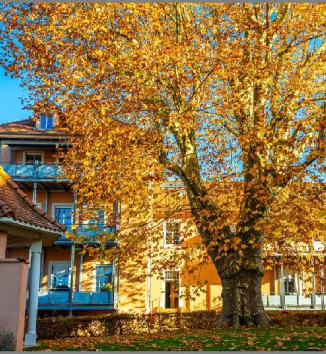 Wohnung im 2. OG von Altbauflair und Lebensqualität! Schicke 4-Zimmer-ETW mit Balkon, Garage und Stellplatz in Achern bei Dhonau Immobilien-Makler Ortenau