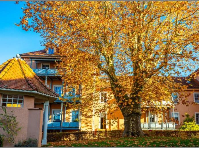 Wohnung im 2. OG von Altbauflair und Lebensqualität! Schicke 4-Zimmer-ETW mit Balkon, Garage und Stellplatz in Achern bei Dhonau Immobilien-Makler Ortenau