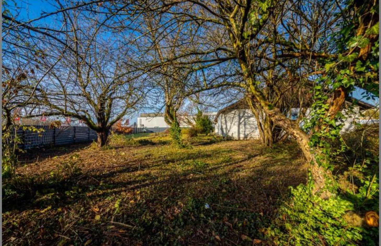 Weitläufige Grundstücke von Träume entwickeln! 215qm Bungalow mit großem Grundstückspaket! in Rheinau-Freistett bei Dhonau Immobilien-Makler Ortenau