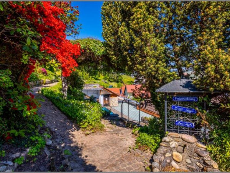 Sommergarten von Wohnhaus & Airbnb! 6 Appartements, Terrassen, Lagerräume, Stellplätze! in Kappelrodeck bei Dhonau Immobilien-Makler Ortenau