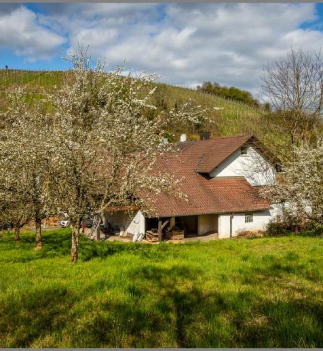 Anwesen in Waldulm von Ein- bis Zweifamilienhaus mit massivem Öko-Anbau - Ausbauoption plus extra Grundstück! in Kappelrodeck bei Dhonau Immobilien-Makler Ortenau