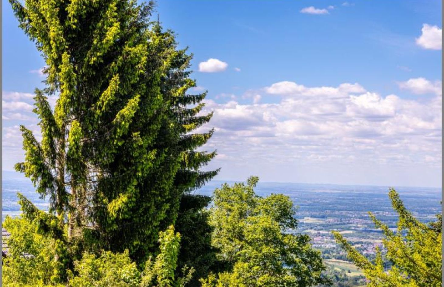 Aussicht Rheinebene von 2-in-1-Ferien-/Eigentumswohnung mit Wintergarten, Garage und herrlicher Aussicht! in Sasbachwalden bei Dhonau Immobilien-Makler Ortenau