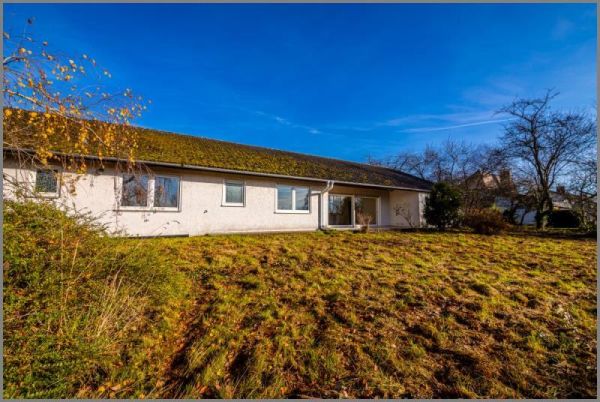 215m² Bungalow & 3 Grunstücke von Träume entwickeln! 215qm Bungalow mit großem Grundstückspaket! in Rheinau-Freistett bei Dhonau Immobilien-Makler Ortenau