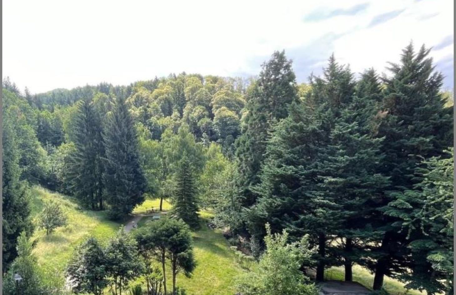 Aussicht von Gemütliches, möbliertes Ferien-/Apartment mit Balkon im Gaishöllpark  in Sasbachwalden bei Dhonau Immobilien-Makler Ortenau