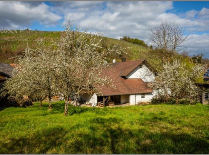 Anwesen in Waldulm von Ein- bis Zweifamilienhaus mit massivem Öko-Anbau - Ausbauoption plus extra Grundstück! in Kappelrodeck bei Dhonau Immobilien-Makler Ortenau