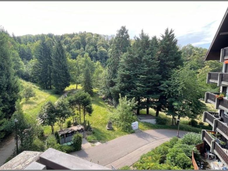 Titel von Gemütliches, möbliertes Ferien-/Apartment mit Balkon im Gaishöllpark in Sasbachwalden bei Dhonau Immobilien-Makler Ortenau