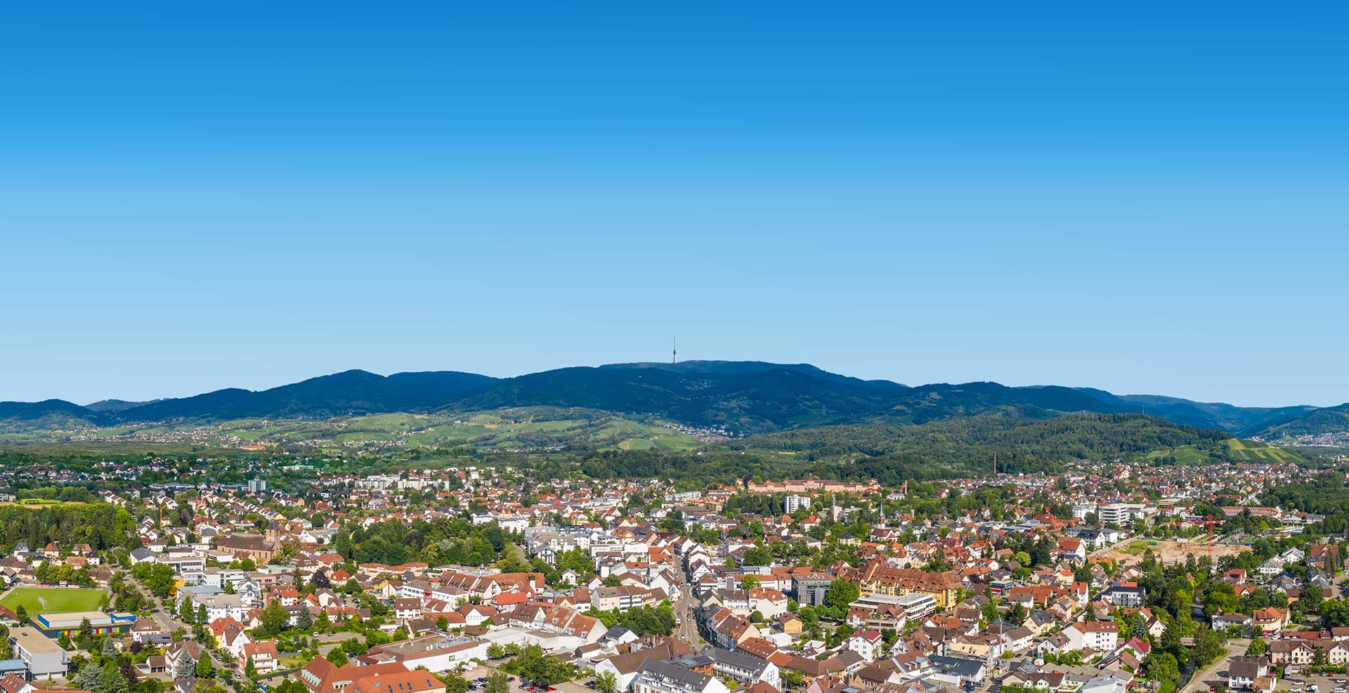 Dhonau Immobilien GmbH Immobilienmakler Achern