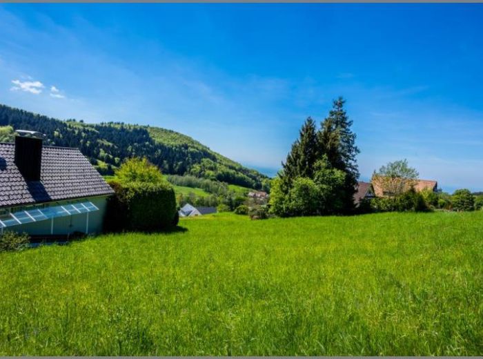 Im Schwarzwald 700 m. ü . M. von Selten und wunderschön! Baugrundstück in Südhanglage mit Fernblick. in Sasbachwalden bei Dhonau Immobilien-Makler Ortenau